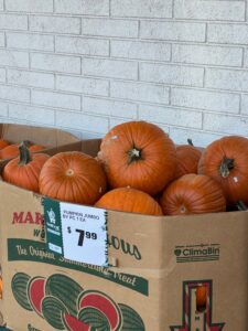 Large orange pumpkins displayed in a box for sale